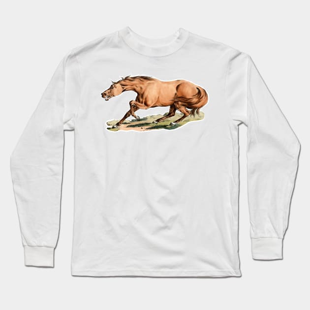 Desperate wild horse Long Sleeve T-Shirt by Marccelus